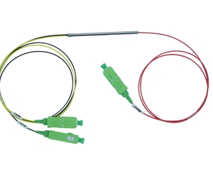 ���֏�����CWDM