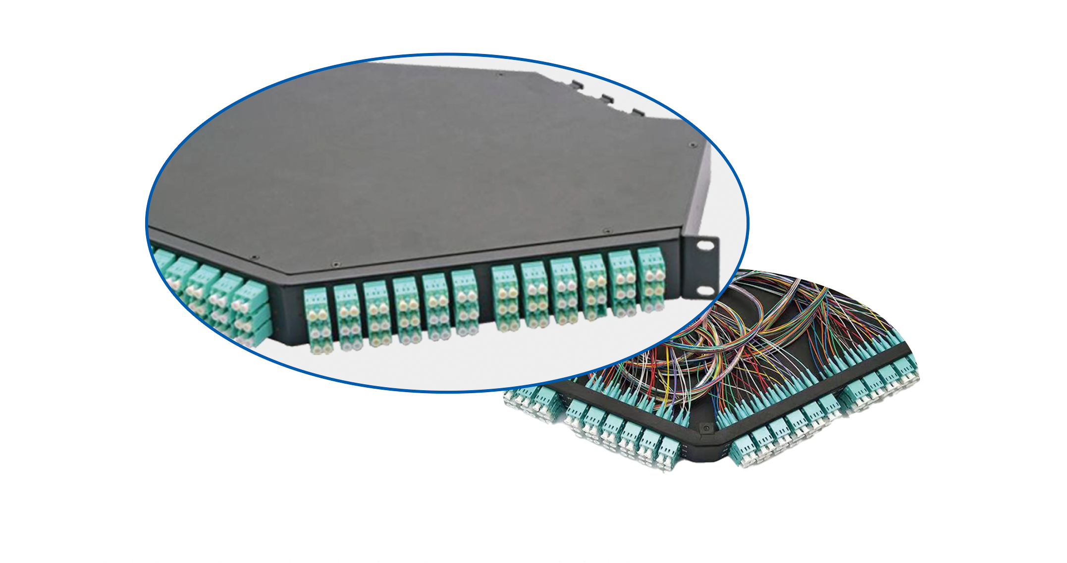 微信圖片_20251025130950.png 微信圖片_20251025130950.png